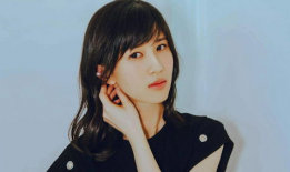 网红算明星吗,揭秘网络红人是否等同于明星